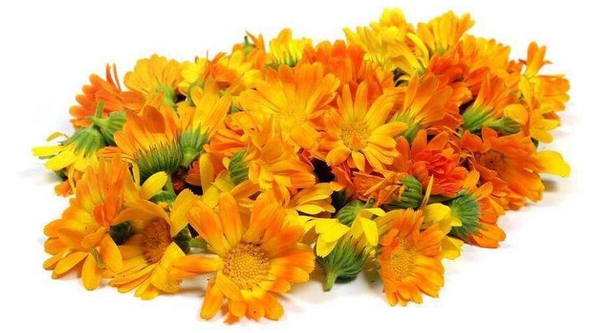 Extrakt z Calendula v Promicil