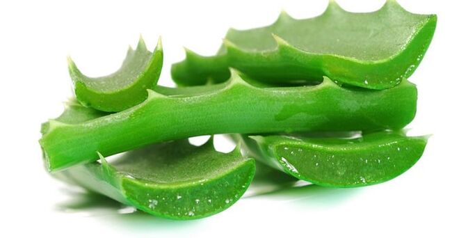 aloe pro léčbu nehtových houby